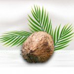 Sustainable Coconuts