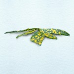 Naturally Derived Elements